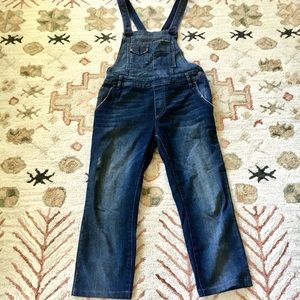 Free People Denim Dark wash overalls 28